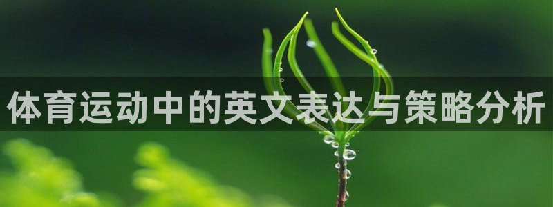 尊龙官网下载招商电话是多少啊:体育运动中的英文表达与策略分析