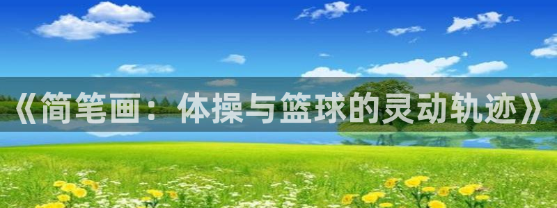 尊龙官方正版app集团官网首页:《简笔画:体操与篮球的灵动轨