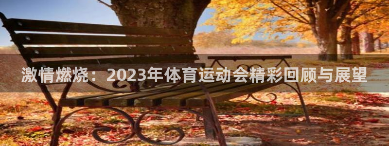 尊龙官网下载平台APP:激情燃烧:2023年体育运动会精彩回